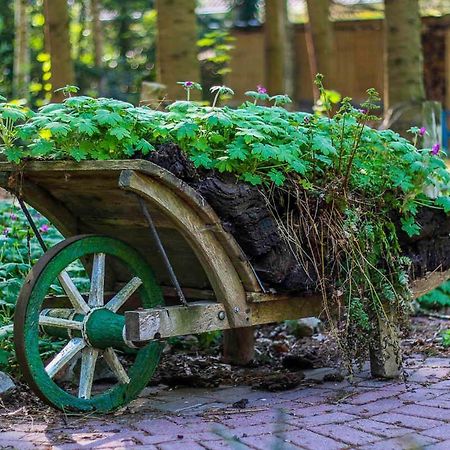 Ferienwohnung Schoon, 85042 Ostrhauderfehn Zewnętrze zdjęcie