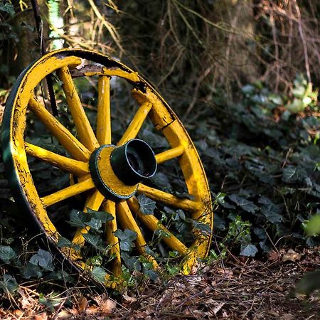 Ferienwohnung Schoon, 85042 Ostrhauderfehn Zewnętrze zdjęcie